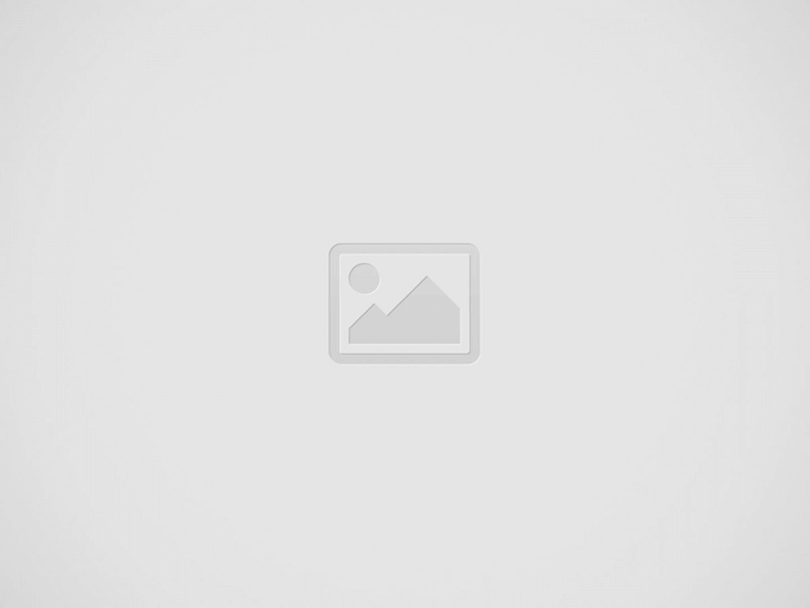 가수금 출자전환, 가수금증자 세무조사 대비
